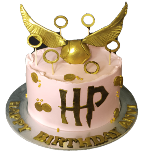 Harry Potter Birthday Cake