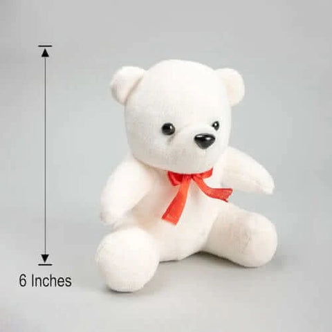 Small White Teddy Bear