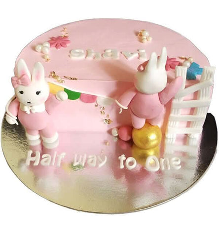 Half Way to One Cake - View 2