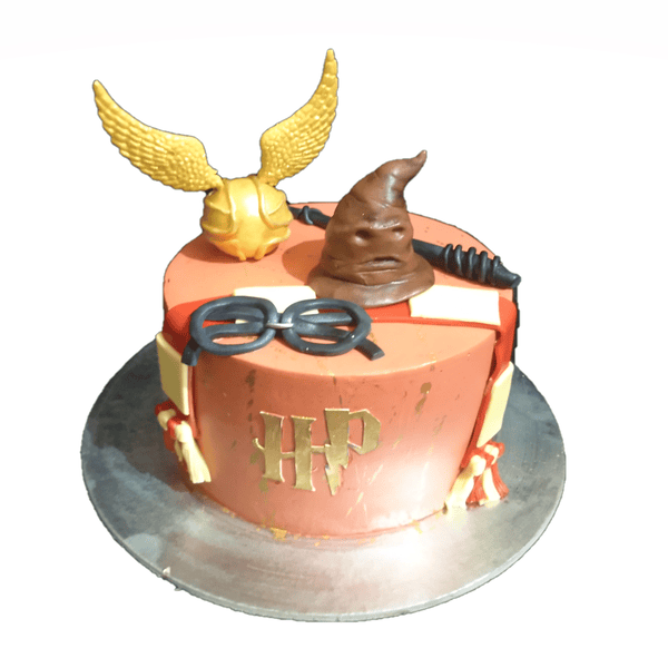 How to Design Homemade Harry Potter Inspired Birthday Cake - Aaichi Savali